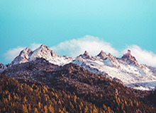 山东男篮社媒分享球队训练动态：球队今晚将迎来马年首战